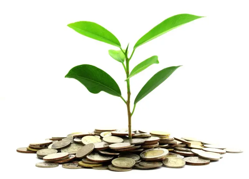 Инвестиции SKF в сохранение экологии | Свежие новости в Улан-Удэ