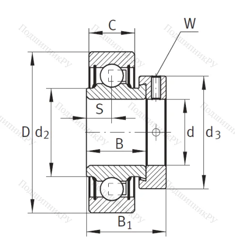 Закрепляемый корпусный подшипник RAE 60 XL NPP от производителя  INA