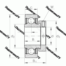 Подшипник RAE 35-NPP-FA 106